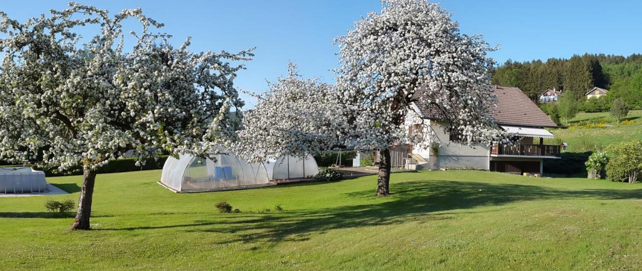 Les Jumeaux Homestay